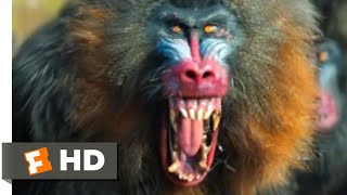 Jumanji The Next Level 2019  Mandrill Attack Scene 410  Movieclips [upl. by Moria]