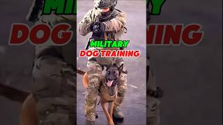 🔥 Military dog training MilitaryDogTrainingK9TrainingMilitaryDogsK9UnitsDogTraining [upl. by Suravaj]