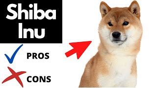 SHIBA INU Pros And Cons SHOCKING [upl. by Oker901]