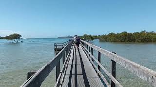 Urunga Boardwalk Part 1 March 2024 [upl. by Hairahcaz]