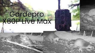 GardePro X60P Live Max  Vorstellung amp Test der 4g Funkkamera [upl. by Norm]