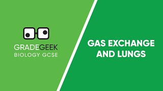 Understanding Gas Exchange and the Lungs  GCSE Biology Revision [upl. by Oal263]