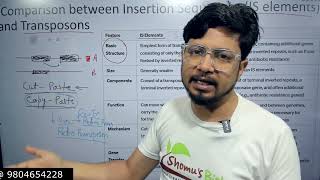 IS elements vs transposons  transposons in prokaryotes [upl. by Glennie]