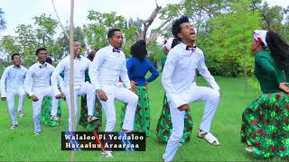 Hacaaluu Araarsaa Jarumaafi  Oromo Music 2018 New [upl. by Nosyerg]