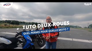 TUTO DEUXROUES  Quel permis pour quelle moto [upl. by Enelyaj]