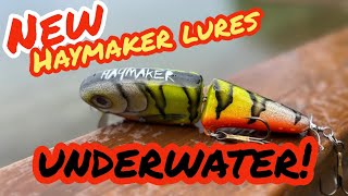 HAYMAKER LURES 6quot WAKE BAIT May 3024 [upl. by Jollenta864]