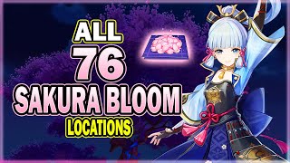 All 76 Sakura Bloom Locations  Efficient Farming Route  Ayaka Ascension Material  Genshin Impact [upl. by Anahc]