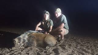 Night hunting Bushpig south africa hunting [upl. by Raffarty930]