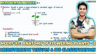 Anatomy of Flowering Plants Lec 2Meristematic Tissues amp its ClassificationClass 11NEETNeetology [upl. by Beutner748]