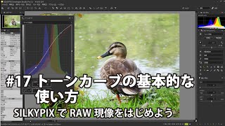 SILKYPIXでRAW現像をはじめよう 17 トーンカーブの基本的な使い方 [upl. by Liahcim559]