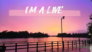 Celine Dion  Im alive lyrics [upl. by Ynnig]