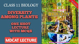 DIVERSITY AMONG PLANTS  ONE SHOT SERIES PART 1  MCQS ALSO EXPLAINED  DOCTORS STOP BIOLOGY [upl. by Correy]