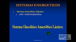 Bioquímica y fisiología de los sistemas energéticos [upl. by Virgy350]