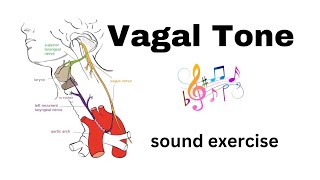 Healthy Vagus Nerve with a Sound Exercise [upl. by Lynda352]