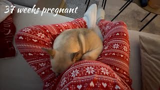 Weekly vlog  37 weeks pregnant [upl. by Dnalyaw680]