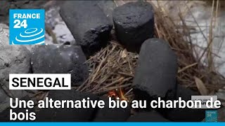 Sénégal  le biocharbon un fioul vert pour protéger les forêts • FRANCE 24 [upl. by Sabra]