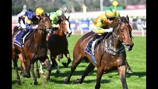 2024 Moir Stakes Day Tips  Moonee Valley 7924 [upl. by Ynohtn]