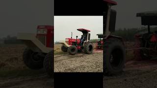 youtubeshorts Nishu deshwal Swaraj vs John Deere tractor tochan video nishudashwal shorts [upl. by Adriaens187]