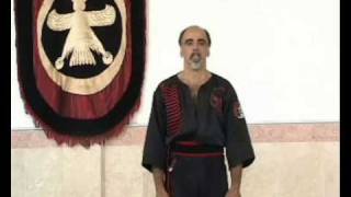 Traditional Kung Fu ToA  Techniques khat  forms  katas ¤¤¤Master Mostafa Dehghanian¤¤¤ [upl. by Suiravaj]