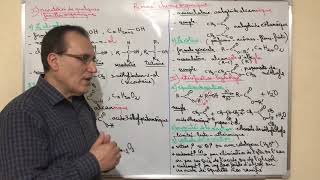 Résumé Chimie Organique [upl. by Ardnoel]