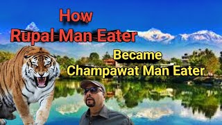 How Rupal Man Eater Tigress Became Champawat Man Eater । How Nepal Man Eater Tigress Came To India [upl. by Enihpled456]