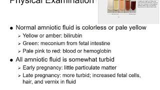 Chapter 14 Amniotic Fluid Analysis [upl. by Yrrad203]