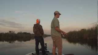 Sawgrass Park Florida Bass Fishing [upl. by Leuqram]