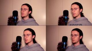 The Snowman  Walking In The Air A CAPPELLA COVER [upl. by Chantal]