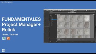 Organizar tus modelos y materiales con Project manager y Relink Bitmaps [upl. by Tnahsin]