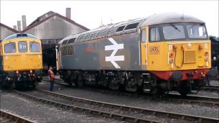 Didcot Railway Centre Diesel Gala 30th May 2016 [upl. by Haleehs]