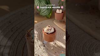 2Ingredient Chocolate Mousse  Easy amp Decadent Dessert [upl. by Eissed284]