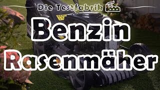 🏡 Benzinrasenmäher Test – 🏆 Top 3 Benzinrasenmäher im Test [upl. by Anirtal71]