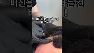 에어립두피컬러링두피페인팅두피염색스칼프에어스칼프에어강남아트블랙scalp coloringscalp paintingAir lipScalp Air [upl. by Yellah]