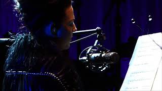 Amy Lee Evanescence  SPEAK TO ME Synthesis Live in New Orleans [upl. by Leuneb]