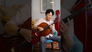 Pizzicato harmonics on cello [upl. by Tjaden]