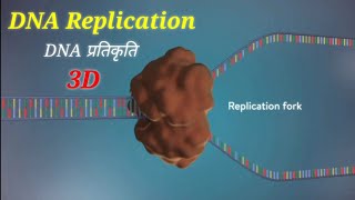 DNA Replication 3D Animation In Hindi  DNA प्रतिकृति  sciencevigyan [upl. by Kain934]