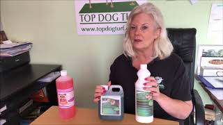 The Best Artificial Grass Cleaner For Dog Urine [upl. by Dick]