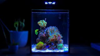 2 Hours of Nano Reef Tank Relaxation Relaxing Piano Music [upl. by Sinne]