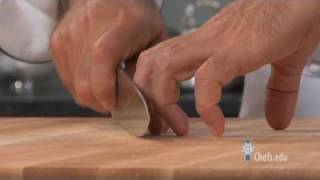 How to Hold a Knife  Properly Using a Chefs Knife [upl. by Ahsekad]