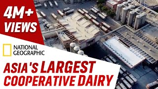 Inside Asias Largest Cooperative Dairy by National Geographic  Banas Dairy [upl. by Eikcaj]