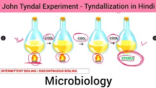 Microbiology   Tyndallization  John Tyndal Experiment in Hindi  Experiment of John Tyndal in Hin [upl. by Dorine677]