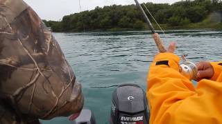 Fishing with Katmai Guide Service [upl. by Kelby]