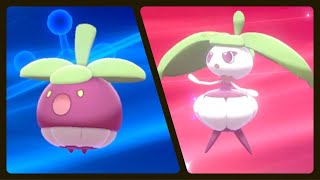 BOUNSWEET EVOLVED INTO STEENEE POKEMON SHIELD [upl. by Jed]