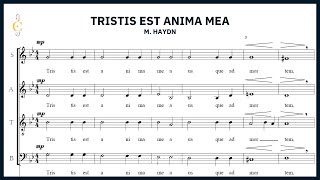 Choeur Ephata  Tristis est anima mea  JM Haydn [upl. by Oirelav]