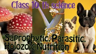 Saprophytic Parasitic Holozoic Nutrition life processes class 10 th science biologyvideo [upl. by Suiradal]