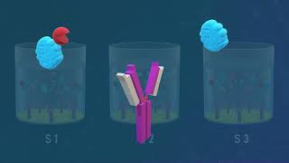 Competitive ELISA Test  Animated Video [upl. by Kissel711]