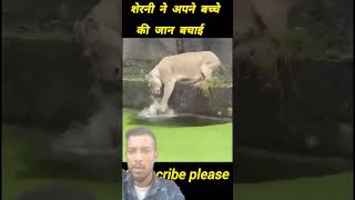 Maa ki tar baby k bachate parbe🤔🤔😌🥰animals funny greensreen shorts [upl. by Adnohsad]