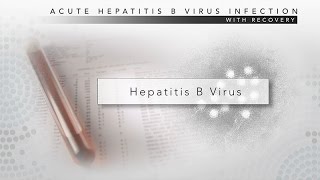 Hepatitis B CDC Viral Hepatitis Serology Training [upl. by Jenette]