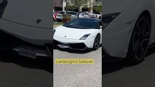 Lamborghini gallardo LP 550 subscribe explore fyp lamborghini southafrica supercars shorts [upl. by Akimrehs]