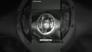 Differential System ⚙️ [upl. by Neirda470]